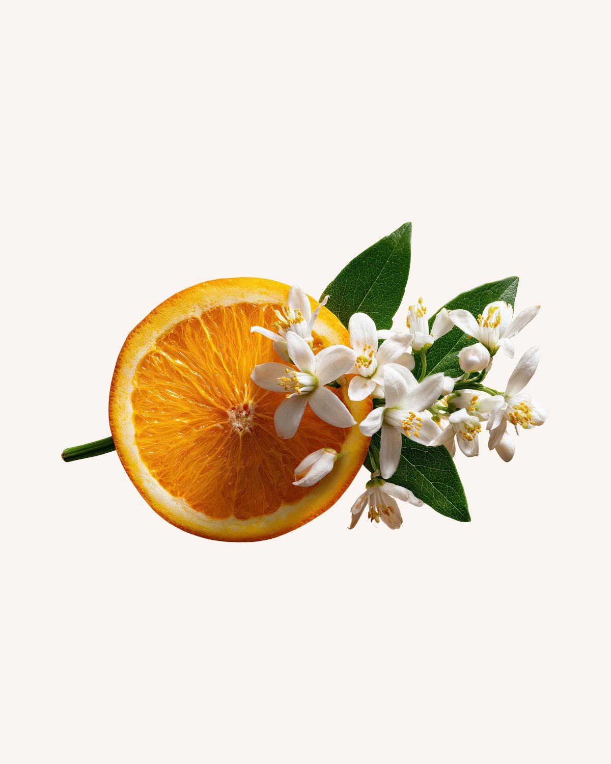 Citrus Florals